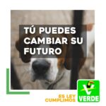 De marzo a junio, México recibirá 22 millones de vacunas chinas: Marcelo Ebrard