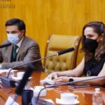 Aves atacan drones de Google y compañía decide cancelar entregas