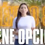 Azul Informativo proporciona las noticias más relevantes del partido y de México.