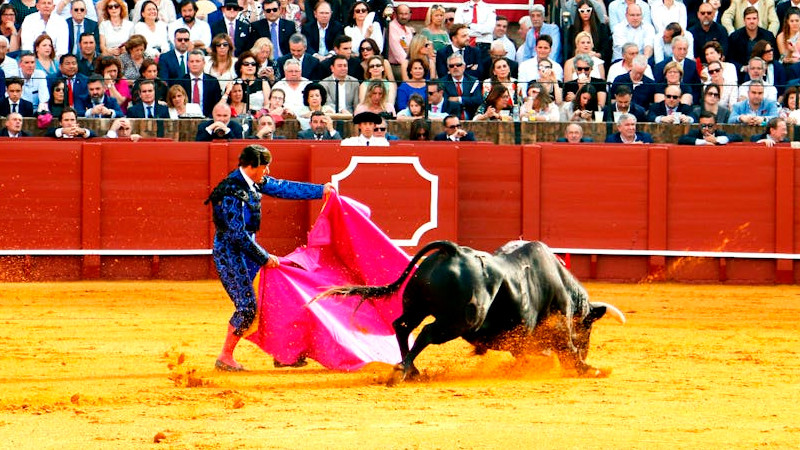 España suprime el Premio Nacional de Tauromaquia
